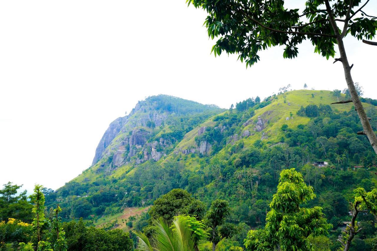 Ella Country House المظهر الخارجي الصورة