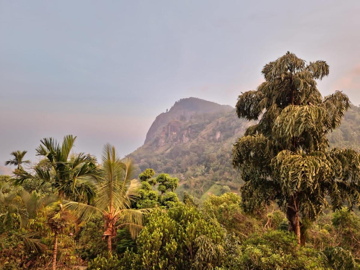 Ella Country House المظهر الخارجي الصورة