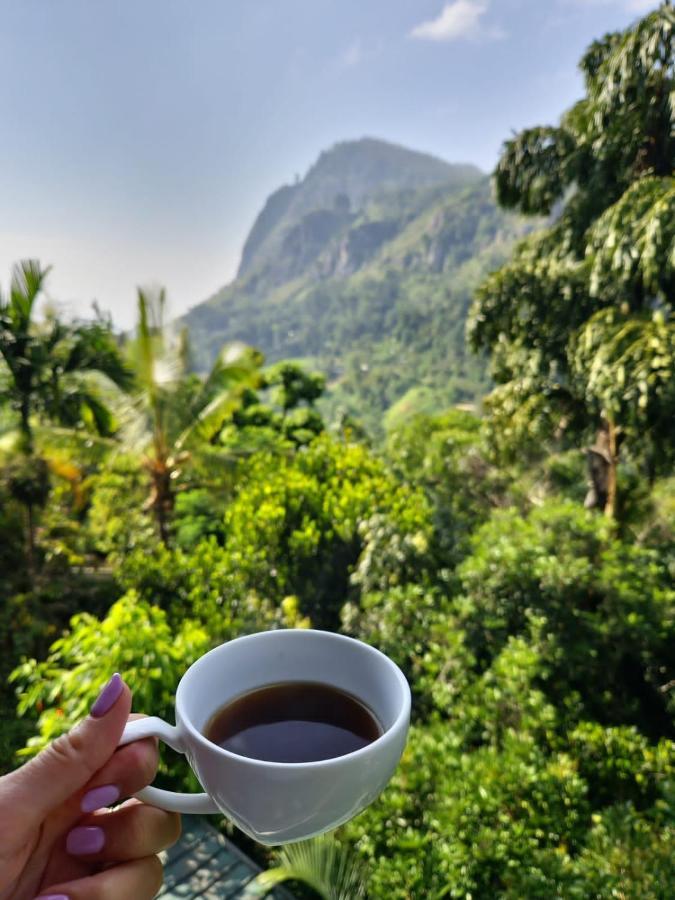 Ella Country House المظهر الخارجي الصورة